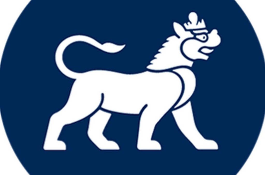 Asia Society Young Leaders Institute