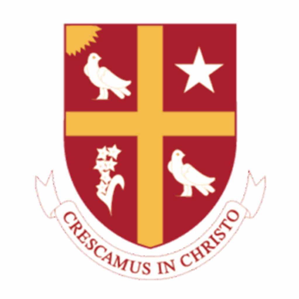 University of Saint Thomas Viola Day